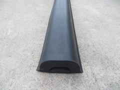 R116 Extrusion (100 x 50 x 3000 mm)